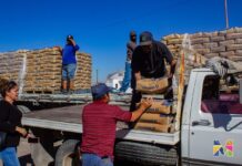 Benefician a 42 familias de Guadalupe Victoria en Meoqui con cemento subsidiado