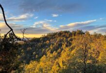 Prevé Protección Civil ambiente frío durante este fin de semana en Chihuahua