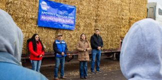 Inicia Miriam Soto entrega de 400 paca de rastrojo: “Seguimos al pie del cañón con ustedes”