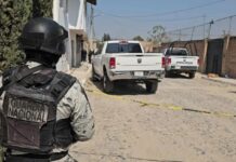 Horror en Jalisco: sujetos mataron a abuelito por terreno