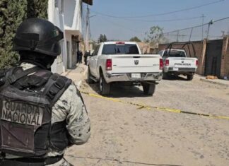 Horror en Jalisco: sujetos mataron a abuelito por terreno