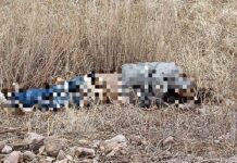 Localizan a hombre sin vida en la comunidad de Orinda, Rosales