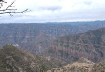 Temperaturas bajo cero en Chihuahua: Temosachic es la localidad más fría del estado