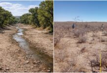Firmó UACH convenio para analizar impacto de sequía en La Boquilla