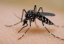 Reporta SSE un caso importado de dengue en Chihuahua