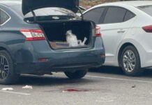 Balean a mujer en estacionamiento de Alsuper Fuentes Mares