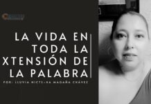 Los órganos vitales, la orquestra que nos mantiene con vida.