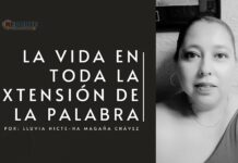 El ciclo celular: el proceso invisible de la vida