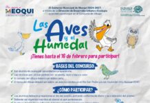 Invitan en Meoqui al concurso de dibujo “Las Aves y el Humedal”; premiarán a los tres primeros lugares