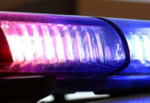 Asesinan a mujer y la arrojan en la carretera a Cuauhtémoc