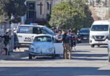 Adulto mayor muere en su hogar tras ser mordido por pitbull después de una caída