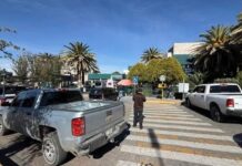 Muere abuelito que fue atropellado por ministerial en Parral