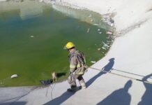 Rescatan a perrito atrapado en canal de Parral