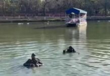 Fallece menor de edad en lago de Zacatecas; autoridades advierten sobre desafíos en redes sociales