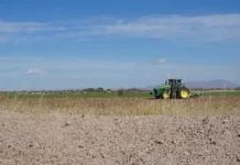 Benefician lluvias atípicas a tierras agrícolas de la región centro sur