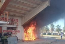 Incendio consume local en parque intercolonial al sur de la ciudad