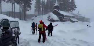Encontraron 8 esquiadores muertos tras avalancha en California