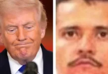 “¡México debe intensificar sus esfuerzos contra los cárteles y las drogas!”: Trump