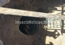 Paramédico desciende 20 metros para rescatar a hombre atrapado en noria