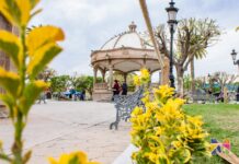 Emite Gobierno de Meoqui recomendaciones por cuarta tormenta invernal, se esperan ráfagas de viento de hasta 55 km/h