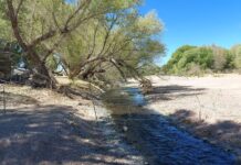 Advierte CEPC por condiciones climáticas variables en territorio chihuahuense