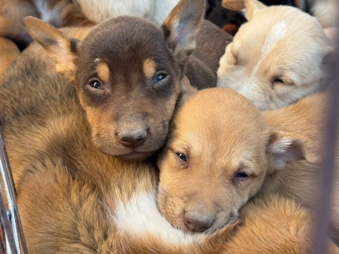 6b716358-28f4-4ed8-86cc-b3a5ccc13516