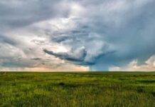 Ciclo agrícola 2026 arranca con riego limitado en Chihuahua