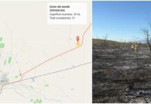 Incendio forestal en Aldama, es controlado tras afectar 30 hectáreas