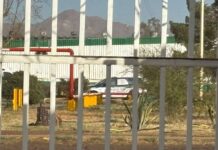 Mujer muere aplastada por carga de tarimas