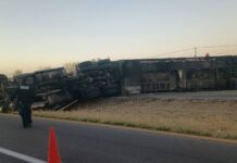 Accidente en la carretera Delicias-Saucillo: volcadura cierra circulación