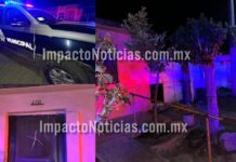 Persecución y choque contra patrulla en Camargo: detenidos liberados y policía agredido