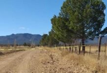 Joven de 23 años muere en accidente automovilístico en Namiquipa