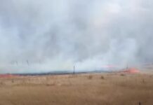 Daños por 60 mil pesos deja incendio en pastizales de Cuauhtémoc