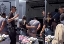 Detienen a mujer por venta de perros pug en tianguis de Ciudad Juárez