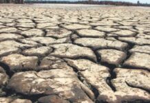 Sequía en Chihuahua: situación permanece sin cambios en la primera mitad de marzo