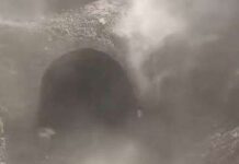 Derrumbe en tramo del Chepe en Témoris, Chihuahua: vías bloqueadas y servicio suspendido