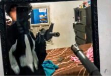 Joven que mató a maestras en Michoacán enfrenta cargos por feminicidio y portación de arma