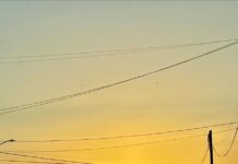 Delicias registró 36°C de temperatura máxima el día de Hoy