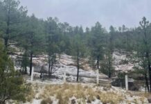 Granizada sorprende a habitantes de Bocoyna en plena primavera