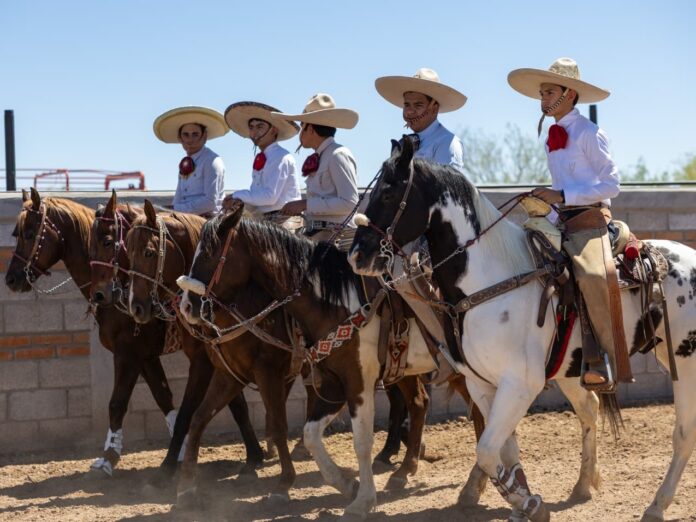 d70806f1-8840-4412-9b34-653a5350ad18