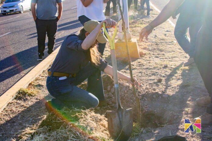 e119bb41-552f-4772-a3aa-6824536e5fc4