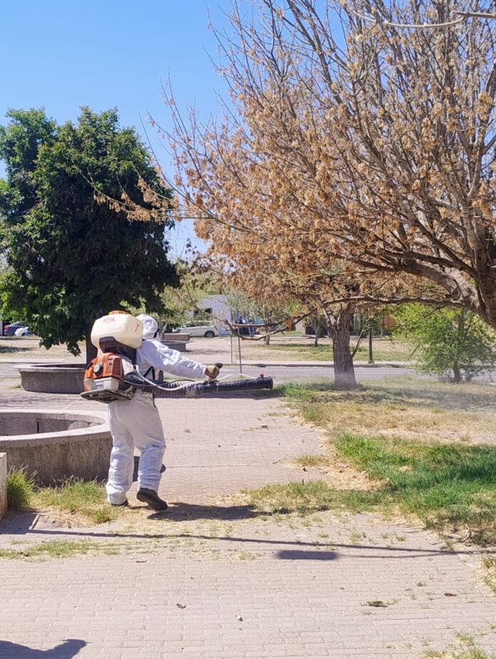 ea8626e3-7f8a-459b-9406-f39292508984