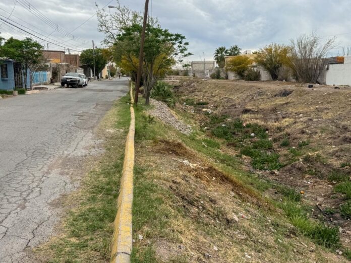 edb359e1-3136-473c-a0af-11c328483e9b