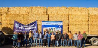 Se abre en Meoqui convocatoria para programa “Cuenta Conmigo en el Campo”: Miriam Soto