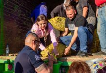 Más de 400 familias meoquenses beneficiadas con apoyos alimentarios: Miriam Soto