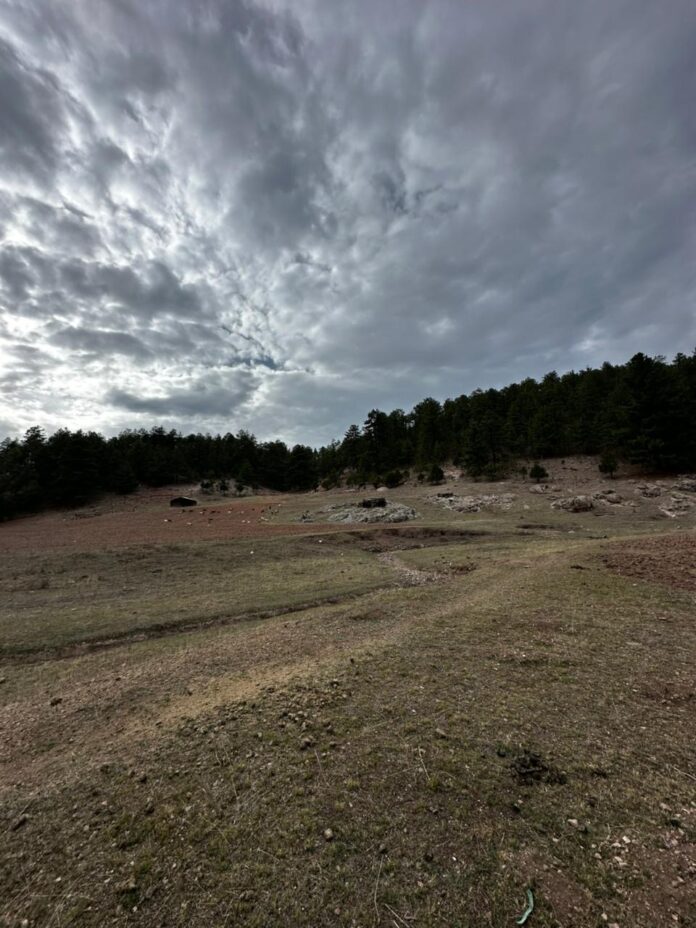 1fa8cd8a-4af0-4663-8574-3be9f90a8ec2