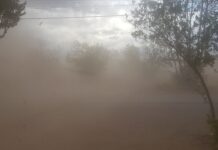 Alerta Protección Civil por vientos de hasta 75 km/h y lluvias en Chihuahua este jueves y viernes