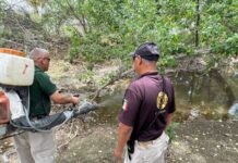 Inició Protección Civil Delicias fumigación en drenes para prevenir el dengue