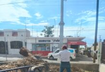 Avanzan trabajos de mantenimiento en primaria Melchor Ocampo del sector Sur