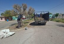 Servicios Públicos refuerza acciones de limpieza y conservación